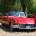 2017fordsnfriends (166)