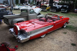 Fords & Friends Show & Shine 2014 075