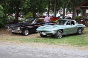 Fords & Friends Show & Shine 2014 111